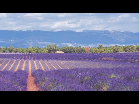 Top 5 des lieux à visiter dans le Vaucluse