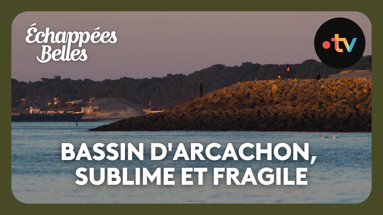 Bassin d'Arcachon, sublime et fragile - Échappées belles 4K