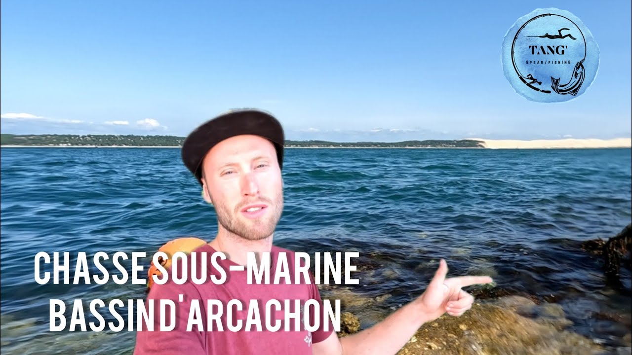 Chasse sous-marine : Il y a toujours du poisson à faire sur le bassin d'Arcachon !