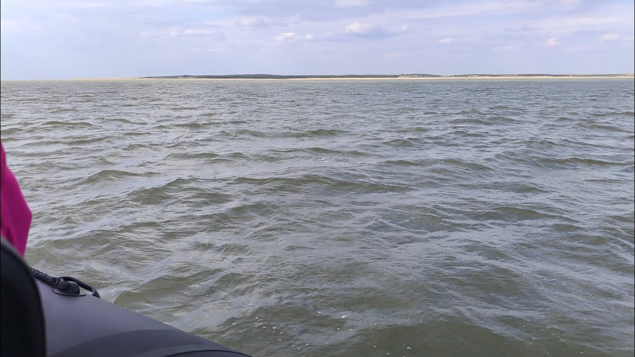 Visite Baie de Somme Bateau de Baie à Saint-Valery-sur-Somme (Avril 2025)