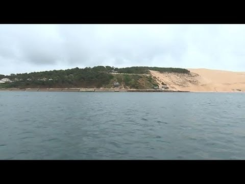 Les forêts de la Dune du Pilat et du Cap Ferret labellisées "forêts d'exception"