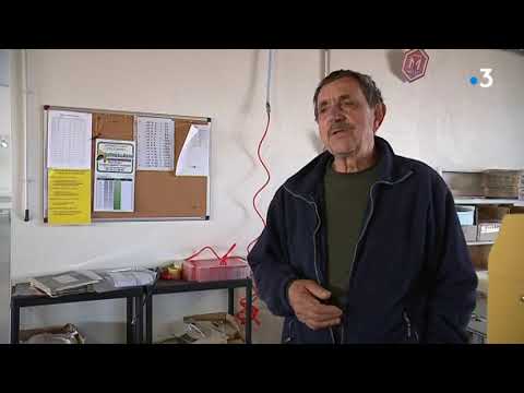 Rencontre avec deux ostréicultrices de Charente-Maritime