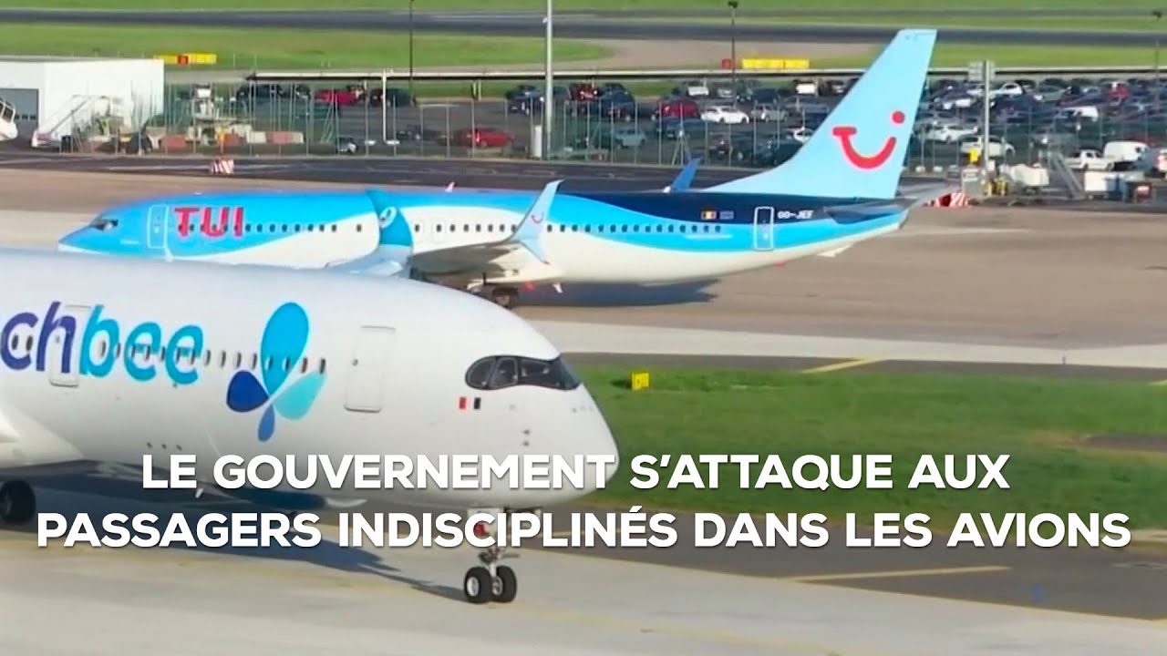 Durcissement des mesures contre les passagers indisciplinés dans les avions｜TF1 INFO