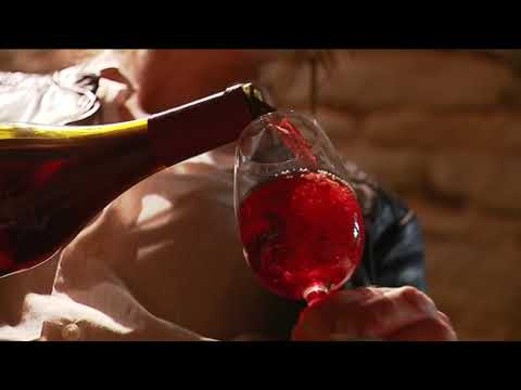 Extension du vignoble du Jura