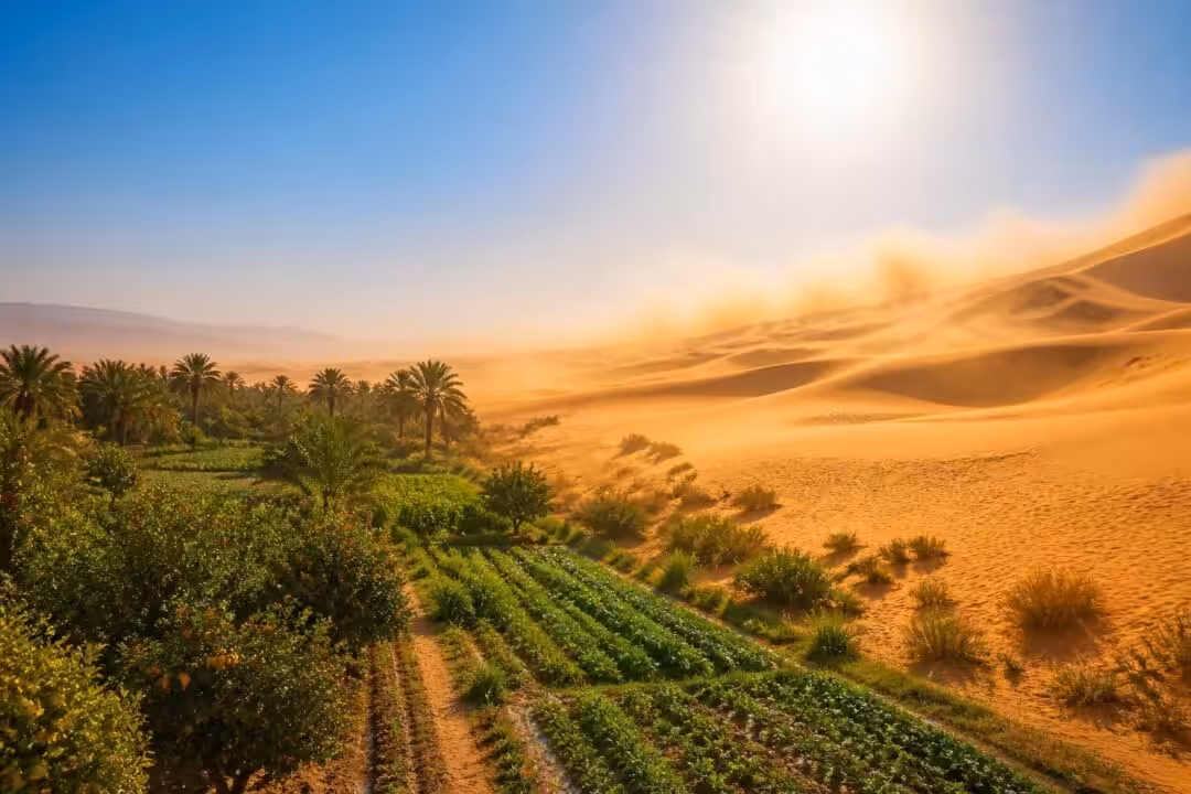 découvrez comment le sahara influence les vagues de chaleur tout en contribuant à la fertilité des sols, révélant un équilibre surprenant entre climat extrême et enrichissement agricole.
