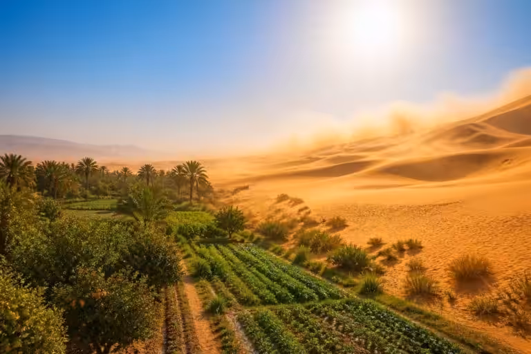 découvrez comment le sahara influence les vagues de chaleur tout en contribuant à la fertilité des sols, révélant un équilibre surprenant entre climat extrême et enrichissement agricole.
