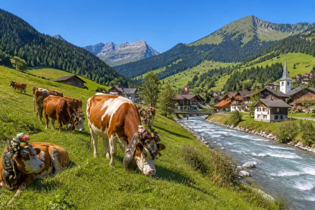 découvrez un week-end inoubliable en suisse avec une escapade dans le charmant canton de fribourg, alliant nature, culture et gastronomie.