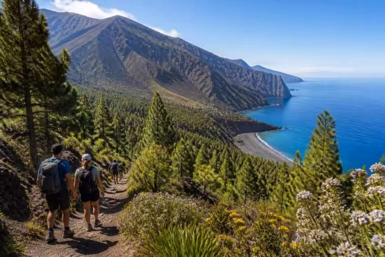 découvrez les activités incontournables à la palma, l'île verte des canaries, entre randonnées, plages paradisiaques et sites naturels exceptionnels.