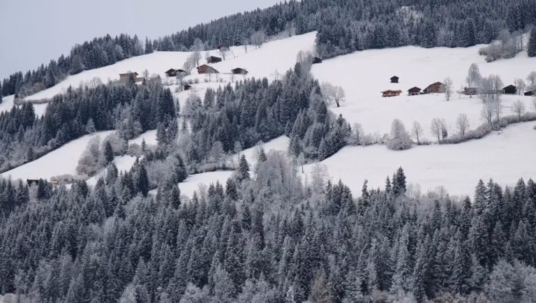 Paysages des Vosges en hiver : où profiter de la neige